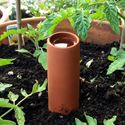 Picture of 'Olla' Terracotta Irrigation Pot