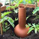 Picture of 'Olla' Terracotta Irrigation Pot
