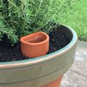 Picture of Flower Pot Waterer - Small