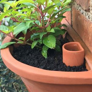 Picture of Wall Pot Waterer - Small