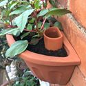 Picture of Wall Pot Waterer - Large