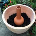 Picture of 'Olla' Terracotta Irrigation Pot