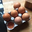 Picture of Ceramic Egg Tray with Pale Grey Glaze | 6 Eggs