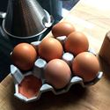 Picture of Ceramic Egg Tray with Pale Grey Glaze | 6 Eggs