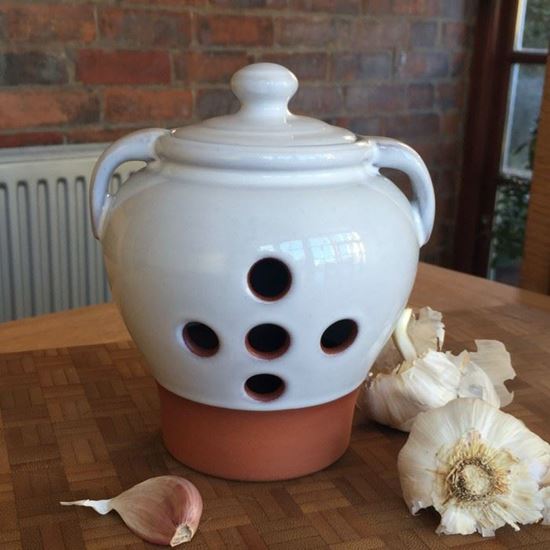 Picture of Garlic Pot Large - Terracotta with Translucent White Glaze