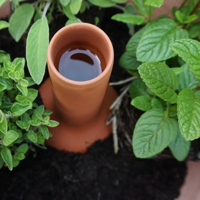 'Olla' Terracotta Irrigation Pot Handmade UK