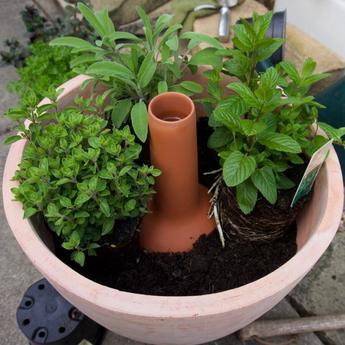 'Olla' Terracotta Irrigation Pot Handmade UK