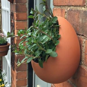 Picture of Egg Wall Pot - Large