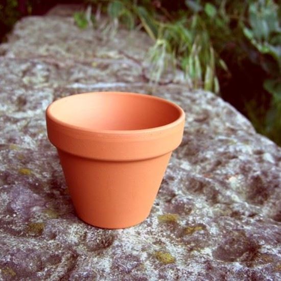 Picture of Traditional FlowerPots | 8cm x 7cm - pack of 10 [F8]