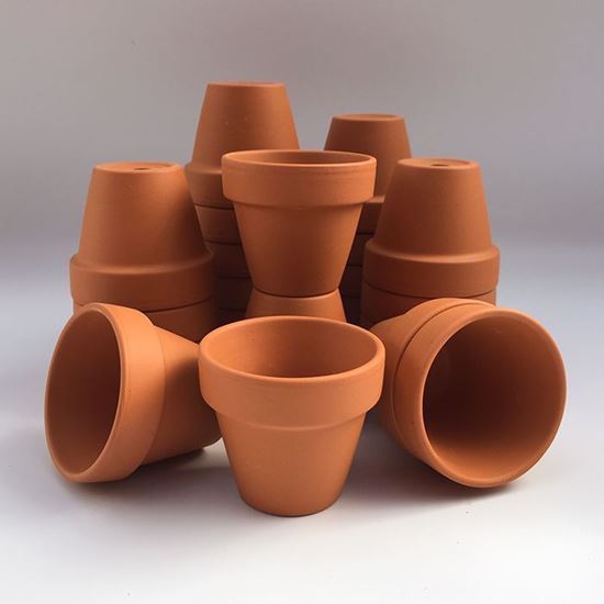 Picture of Traditional Flower Pots- F5 (4.7cm dia)