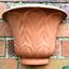 Picture of Acanthus Leaf Wall Planter