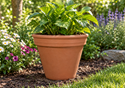 Picture of Traditional Flower Pots- F37 (37cm dia)