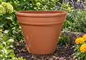 Picture of Traditional Flower Pots- F37 (37cm dia)